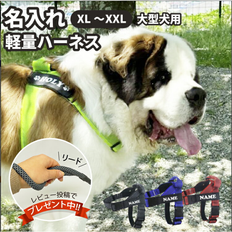 【名前入れ グッズ 軽量 ハンドル付き ハーネス XL～XXLサイズ】 大型犬用 胴輪 オリジナル ネームタグ （セントバーナード・グレートピレニーズ などに）