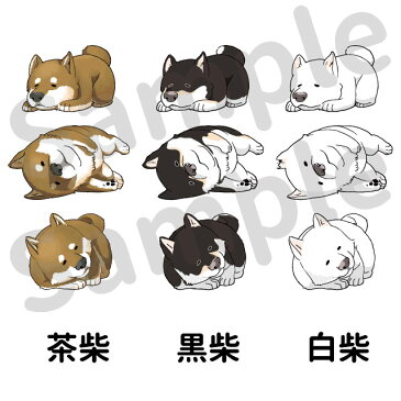 犬服 名前入れ Tシャツ Wan'sデザイン 柴犬 3匹ごろん 中型犬用 2~5L 春 秋 冬 犬屋 オリジナル デザイン ペット 洋服 犬 服 ドッグウェア