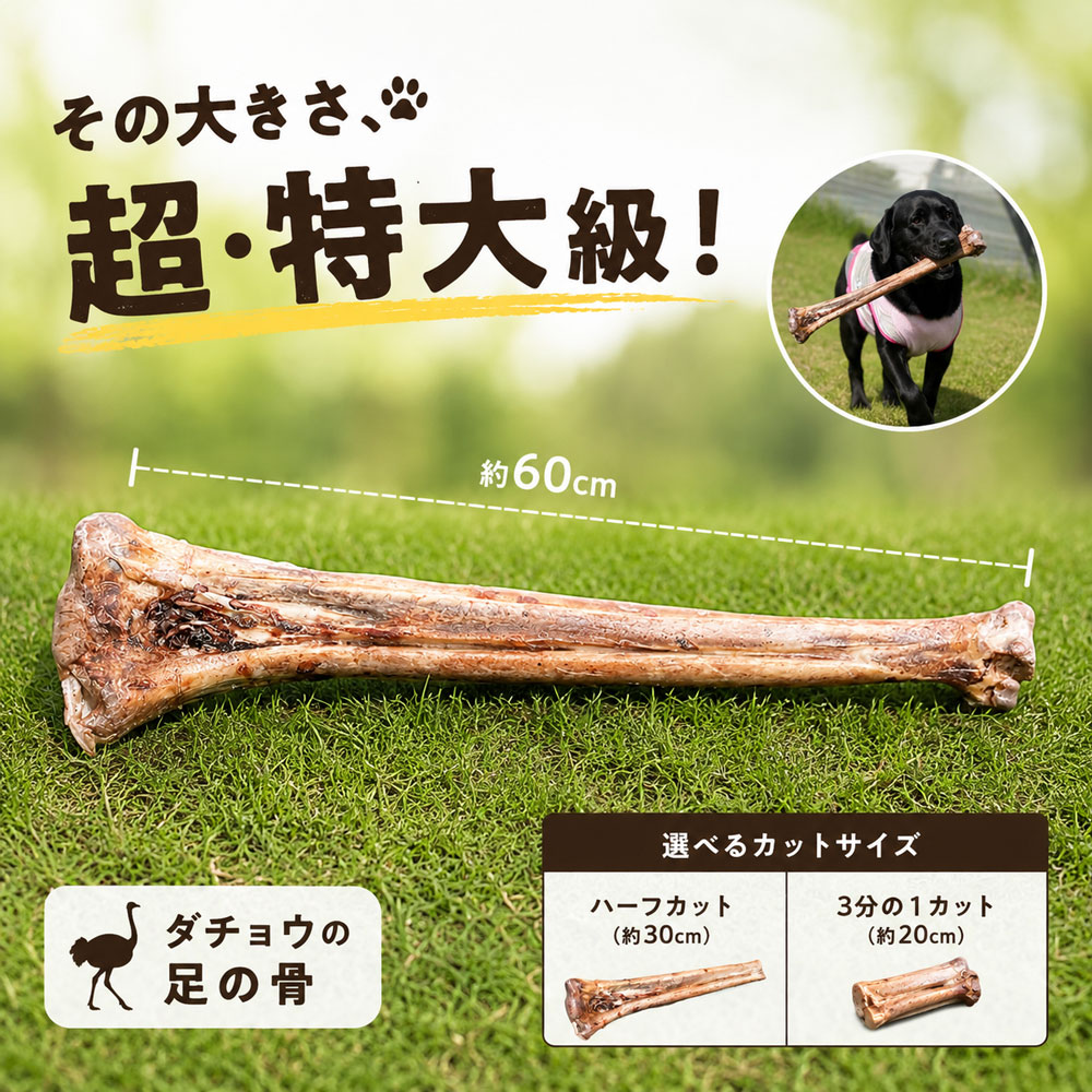 【巨大 ビッグサイズ 犬 おやつ 無添加 国産 ダチョウ 足の骨 中足骨 超大型犬向き 】限定入荷  ...