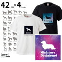 【 オーナー Tシャツ 半袖 正方形 スペース 】 各種 犬 犬柄 宇宙 スペース柄 犬屋 ブランド メンズ レディース ルームウェア コーギー シュナウザー チワワ ダックス ラブラドール ピレニーズ ゴールデン ポメラニアン バーニーズ 可愛い 星 夜空 ギフト お誕生日 その1