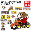 【 選べる ドッグ ステッカー ビーグル 各種 】 オリジナル デザイン 雑貨 グッズ 車 犬 いぬ イヌ かわいい かっこいい カッコイイ 面白 スマホ 窓 ...