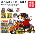 【 選べる ドッグ ステッカー バーニーズマウンテンドッグ 各種 】 オリジナル デザイン 雑貨 グッズ 車 犬 いぬ かわいい かっこいい カッコイイ 面白