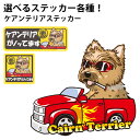 【 選べる ドッグ ステッカー ケアンテリア 各種 】 オリジナル デザイン 雑貨 グッズ 車 かわいい かっこいい カッコイイ ゆるい 面白 イラスト