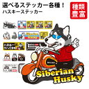 選べる 【 ステッカー ハスキー 】 シベリアンハスキー 犬 いぬ イヌ オリジナル グッズ 雑貨 ペット 車 カーステッカー 犬屋 いぬや inuya かわいい 可愛い かっこいい カッコイイ おもしろ 面白 スマホ 窓 ゆるい キャラ イラスト ギフト プレゼント 誕生日