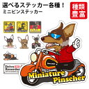 【 選べる ドッグ ステッカー ミニピン 各種 】 オリジナル デザイン 雑貨 グッズ ミニチュアピンシャー 車 かわいい かっこいい カッコイイ ゆるい イラ...