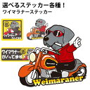 【 選べる ドッグ ステッカー ワイマラナー 各種 】 オリジナル デザイン 雑貨 グッズ 車 キャラ かわいい カッコイイ かっこいい おもしろ 犬 いぬ イ...