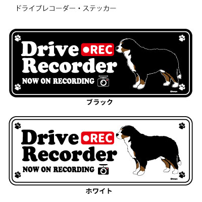 バーニーズマウンテンドッグ (英語) ドラレコ シルエット ステッカー セット 大1枚小2枚 大型犬 犬 ド..