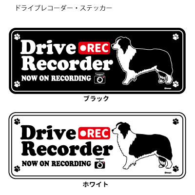 ボーダーコリー (英語) ドラレコ シルエット ステッカー セット 大1枚小2枚 中型犬 犬 ドライブレコーダー シール