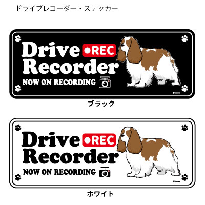 キャバリア (英語) ドラレコ シルエット ステッカー セット 大1枚小2枚 小型犬 犬 ドライブレコーダー ..