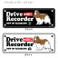 キャバリア (英語) ドラレコ シルエット ステッカー セット 大1枚小2枚 小型犬 犬 ドライブレコーダー ..
