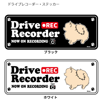 ポメラニアン (英語) ドラレコ シルエット ステッカー セット 大1枚小2枚 小型犬 ドライブレコーダー ..