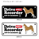 (英語) ドラレコ シルエット ステッカー セット 大1枚小2枚柴犬 【 茶 】 小型犬 犬 ドライブレコーダー シール