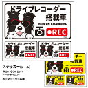 【 ボーダーコリー (日本語) ドラレコ グラサン ステッカー 大1枚小2枚 雑貨 グッズセット 長方形 】 雑貨 グッズシール 犬 ドッグ ドライブレコーダー...