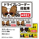 ステッカー 【(日本語) ドラレコ グラサン 大1枚小2枚 】 長方形 パピヨン シール 犬屋 オリジナル 犬 ドッグ ドラレコ