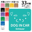 【 ステッカー シンプルドッグ 正方形 セット 】 シール犬 犬屋 いぬや 可愛い かわいい シンプル 犬柄 車 コーギー 柴犬 コーギー プードル ポメラニアン ゴールデンレトリバー ラブラドールレトリバー シュナウザー ビションフリーゼ スピッツ フレブル