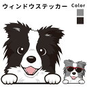 ボーダーコリー 【 ウィンドウ ハッピー デザイン ステッカー 横幅 約10cm1枚 】 雑貨 グッズ 犬 車 バイク スーツケース 給油口 傷 隠し などに ...