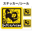 【 柴犬（黒） 犬が乗っています ステッカー 正方形 セット 大1枚小2枚 】 小型犬 車 犬屋 いぬや