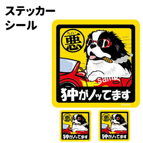 【ちょい悪 狆 ステッカー 正方形 （大1枚・小2枚セット）】 犬が乗ってます ドッグ シール チン 小型..