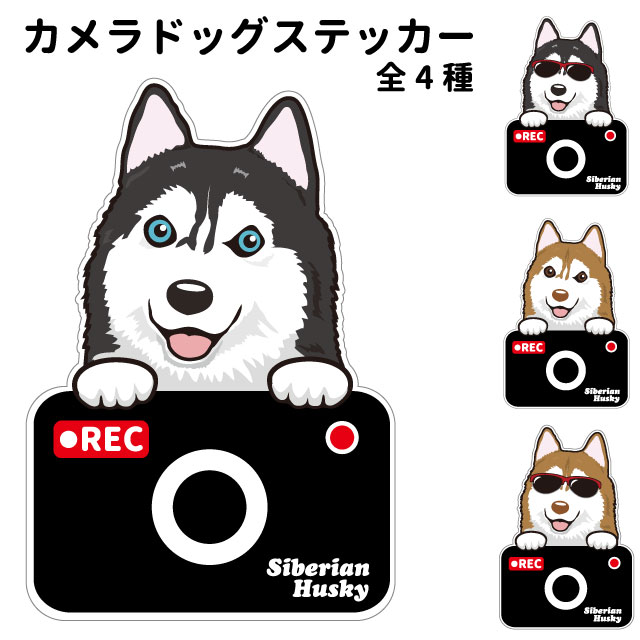 【シベリアンハスキー カメラ ハッピー グラサン 切り抜きタイプ ステッカー】 犬 ドライブレコーダー かわいい 車用 ドラレコ あおり運転 防止 窓 録画 おでかけ 可愛い