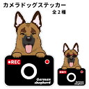 ステッカー 【 カメラ ハッピー グラサン 】 ジャーマンシェパード 犬 ドライブレコーダー かわいい 車用 ドラレコ あおり運転 防止 窓 録画 おでかけ 可愛い 犬屋 いぬや 型抜き 切り抜き