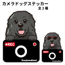 ステッカー 【 カメラ ハッピー グラサン 】 ニューファンドランド 犬 ドライブレコーダー かわいい 車用 ドラレコ あおり運転 防止 窓 録画 おでかけ 可愛い 犬屋 いぬや 型抜き 切り抜き