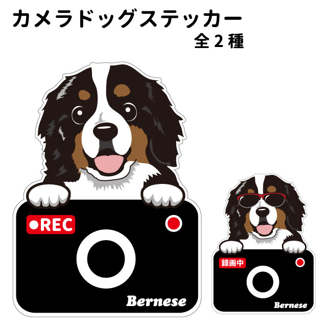 【バーニーズマウンテンドッグ カメラ ハッピー グラサン 切り抜きタイプ ステッカー】 犬 ドライブレコーダー かわいい 車用 ドラレコ あおり運転 防止 窓 録画 おでかけ 可愛い