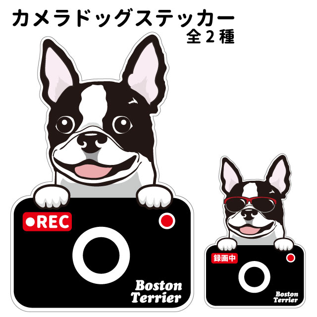 【ボストンテリア カメラ ハッピー グラサン 切り抜きタイプ ステッカー】 犬 ドライブレコーダー かわいい 車用 ドラレコ あおり運転 防止 窓 録画 おでかけ 可愛い