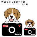 【 ビーグル カメラ ハッピー グラサン 切り抜きタイプ ステッカー 】 犬 ドライブレコーダー かわいい 車用 ドラレコ あおり運転 防止 窓 録画 おでかけ 可愛い