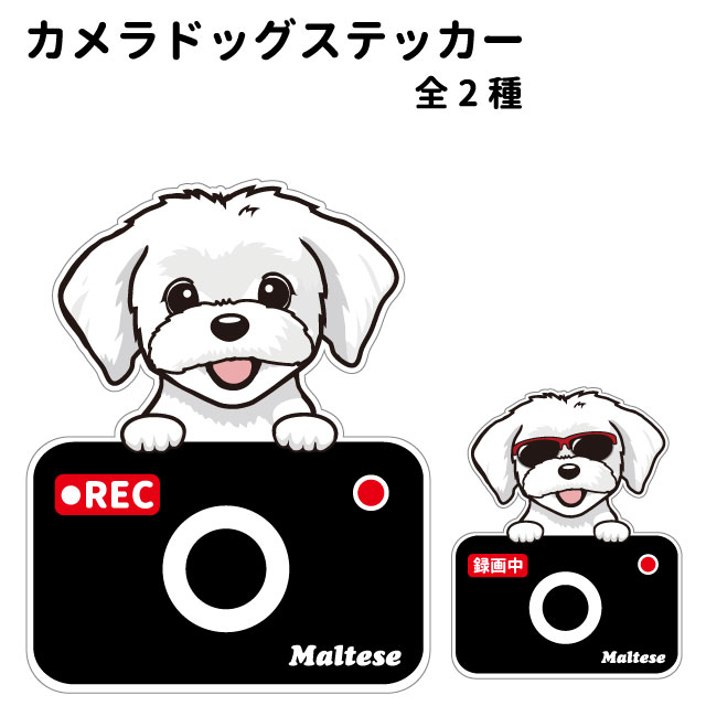 【マルチーズ カメラ ハッピー グラサン 切り抜きタイプ ステッカー】 犬 ドライブレコーダー かわいい 車用 ドラレコ あおり運転 防止 窓 録画 おでかけ 可愛い