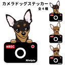 ステッカー 【 カメラ ハッピー グラサン 】 ミニピン 犬 ドライブレコーダー かわいい 車用 ドラレコ あおり運転 防止 窓 録画 おでかけ 可愛い 犬屋 いぬや 型抜き 切り抜き