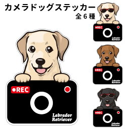 【 ラブラドールレトリーバー カメラ ハッピー グラサン 切り抜きタイプ ステッカー 】 犬 ドライブレコーダー かわいい 車用 ドラレコ あおり運転 防止 窓 録画 おでかけ 可愛い