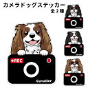 【 キャバリア カメラ ドッグ ステッカー 切り抜きタイプ 】 雑貨 グッズ 犬 ドライブレコーダー かわいい 車用 ドラレコ あおり運転 防止 窓 録画 おでかけ 可愛い 犬 車 バイク スーツケース 給油口 傷 隠し などに おしゃれ な 犬屋 オリジナル ステッカー
