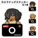 【 ミニチュアダックス カメラ ドッグ ステッカー 切り抜きタイプ 】 雑貨 グッズ 犬 ドライブレコーダー かわいい 車用 ドラレコ あおり運転 防止 窓 録...