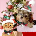 メール便送料無料 クリスマス用の可愛いサンタ帽子 2種類 犬 猫 クリスマス 仮装 コスプレ 小型犬 中型犬 SNS 帽子 サンタクロース サンタ トイプードル 人気 秋冬 オシャレ チワワ