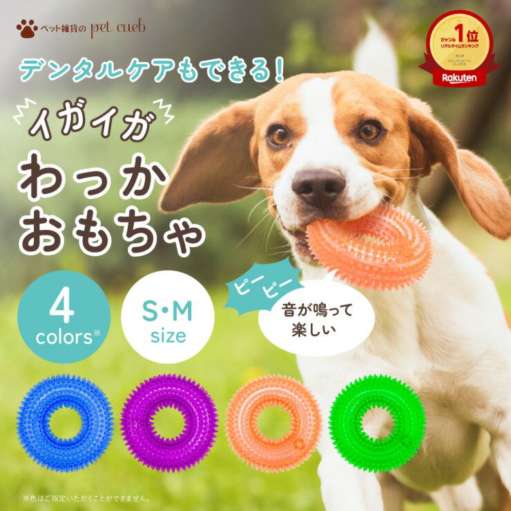 【定形外送料無料】【カラー選択不可】【音が鳴る輪っかのおもちゃ　S・Mサイズ】ペット　おもちゃ　ボール リング　輪　音鳴り　TOY　玩具　遊ぶ　犬 猫　柴犬 トイプードル チワワ 小型犬　かわいい 人気　ピコピコ　中型犬　大型犬　喜ぶ 楽しい 音 散歩 ストレス解消のサムネイル