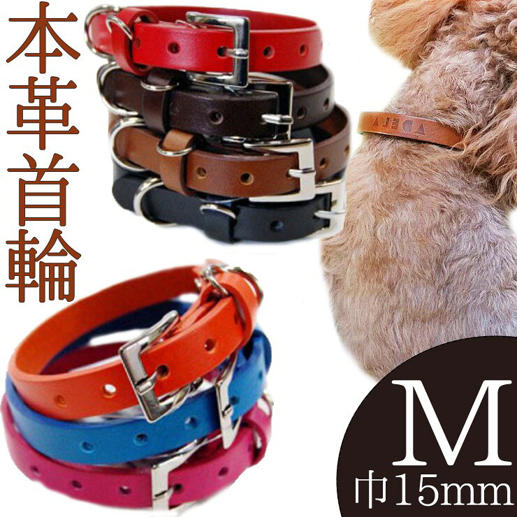 犬猫首輪ADELA7色から選べる本...