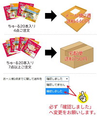 送料説明2