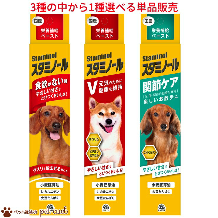 定形外送料無料 150g 犬用 スタミノール 100g シリーズ 3種類の中から1種類×1ヶ選べる(単品) 食欲がないときに 関節ケア スタミノールV アースーペット 栄養補給 栄養補完食 健康維持 水分補給 やさしい甘さ チューブ キャンセル/返品不可