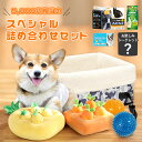 犬 犬用 おもちゃ 雑貨 ちゅーる シーツ プレゼント ハッピーバッグ 犬 誕生日 クリスマス プレゼント ギフト ランダム デンタル デンタルケア 詰め合わせ...