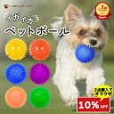 【スーパーセール10%OFF】 イガイガ 犬 ボール 音が鳴る おもちゃ ペット 硬い イガイガボール 犬 小型犬 中型犬 大型犬 定形外 玩具 トイ 可愛い かわいい 人気 ピコピコ イガイガ デンタルケア ダイエット トレーニング 運動