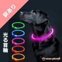 【訳アリ】 光る首輪 ハード 首輪 犬 猫 ペット 充電式 LED首輪 ホワイト LED USB ライト 夜 夜道 散歩 安全 事故防止 小型犬 サイズ調節可能...