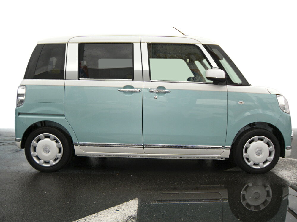 【最鏡面】LA800S／810S　ムーブキャンバス　ステンレス　ドアモール　鏡面 　INVENTER/grow/モール/ベルトモール/車パーツ/鏡面