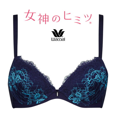 ワコール 女神のヒミツ BRB416シリーズ ブラジャー単品 DEFカップ BRB416【wcl-meb2016aw】【610】【n】【n02】【p】【】