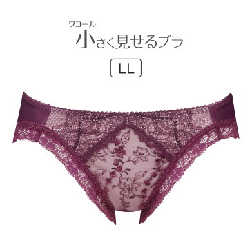 【25%OFF】ワコール 小さく見せるブラ BRB492シリーズ スタンダードショーツ 全8色 LL PRA192