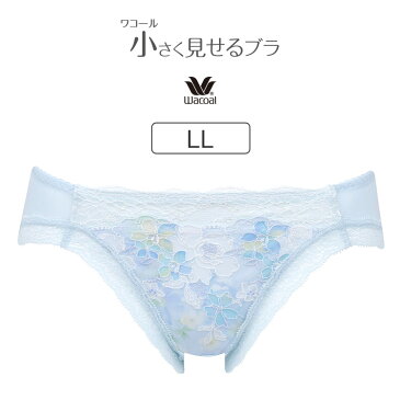 【25%OFF】ワコール 小さく見せるブラ BRB423シリーズ スタンダードショーツ 全4色 LL PRA123