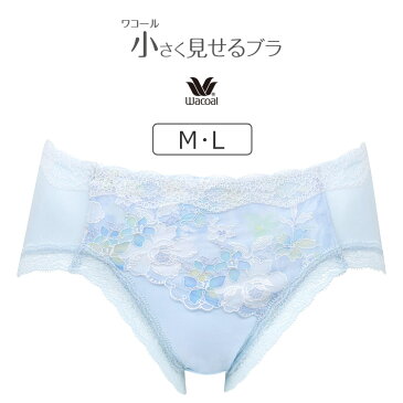 【25%OFF】ワコール ワコール 小さく見せるブラ BRB423シリーズ スタンダードショーツ はきこみ丈・ふつう 全3色 M/L PRA223
