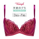 【18％OFF】トリンプ 天使のブラ スリムライン TR584シリーズ ブラジャー単品 DEFカップ アンダー65/70/75/80cm TR584WHU