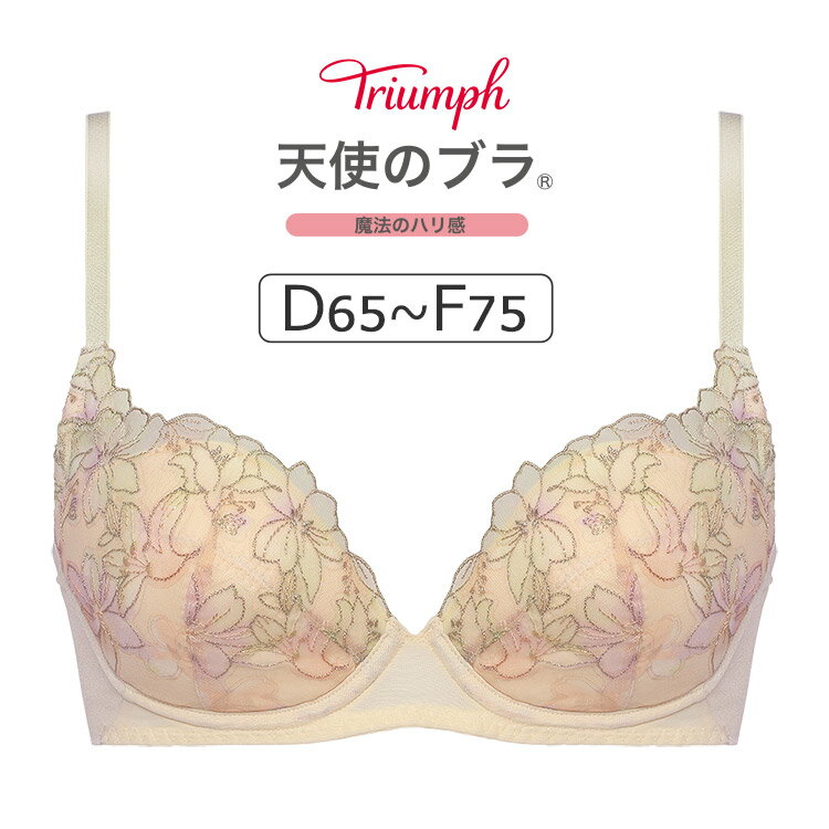 【18％OFF】トリンプ 天使のブラ 魔法のハリ感 TR596シリーズ ブラジャー単品 DEFカップ アンダー65/70/75/80cm TR596WHU