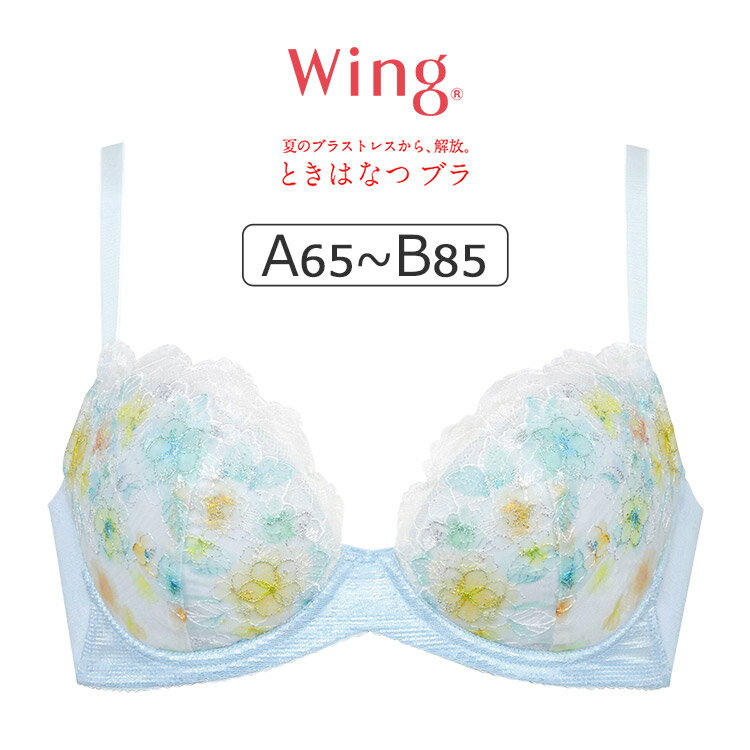 20OFFۥ拾  ȤϤʤĥ֥ KB2872꡼ ֥饸㡼ñ ABå 65/70/75/80/85c...