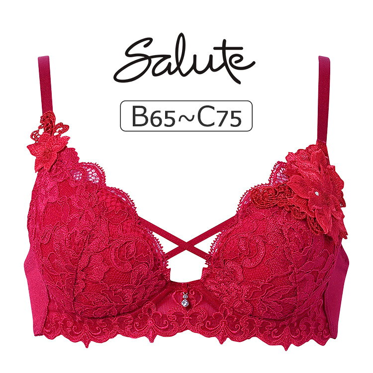 Rakuten - 【25％OFF】 ワコール サルート 27グループ 27G ブラジャー単品 VIVA LINE BCカップ アンダー 65/70/75cm BTJ427